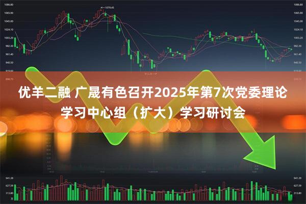 优羊二融 广晟有色召开2025年第7次党委理论学习中心组（扩大）学习研讨会